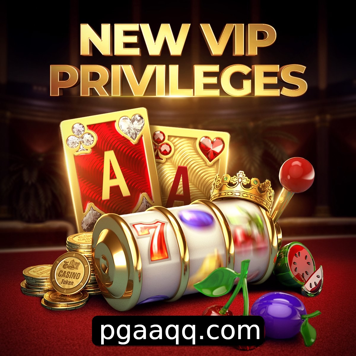 Programa VIP AAQQ